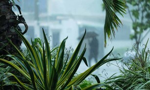 Indomet prev&eacute; lluvias para la tarde y noche de este mi&eacute;rcoles