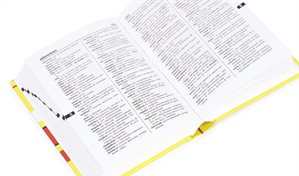 Lexicógrafos por un día