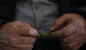 No realizar ejercicio físico: un factor de riesgo para el alzhéimer