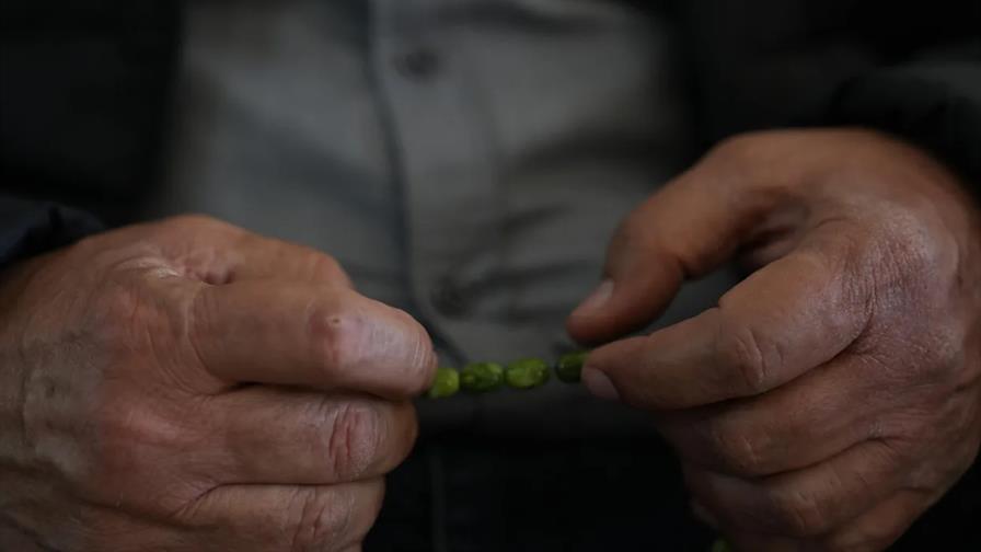 No realizar ejercicio físico: un factor de riesgo para el alzhéimer No realizar ejercicio físico: un factor de riesgo para el alzhéimer