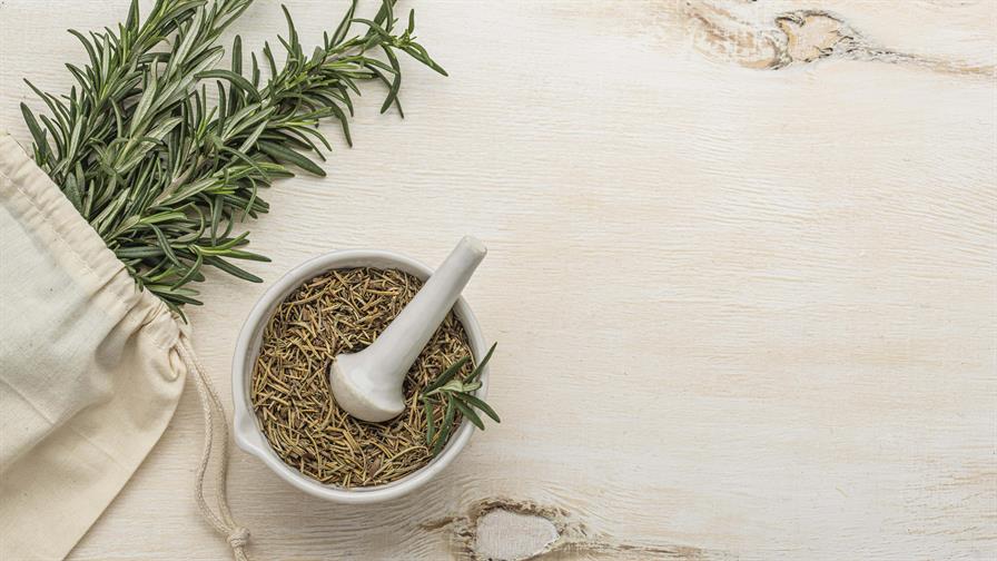 El tomillo: la pequeña planta que guarda un gran poder natural El tomillo: la pequeña planta que guarda un gran poder natural