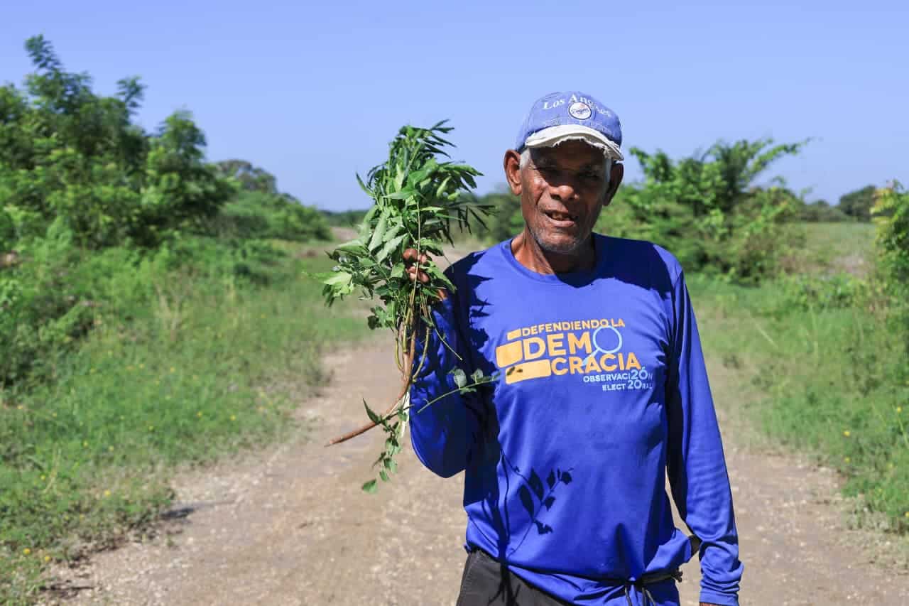 Los agricultores piden la ayuda del Ministerio de Agricultura.