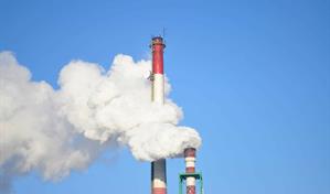 Sobre la mesa de la COP30: menos emisiones, más bosques y dinero