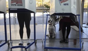 Miami elige alcalde para definir su rumbo en pleno boom urbano