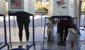 Elecciones en Nueva York, Virginia y Nueva Jersey ponen a prueba la influencia de Trump