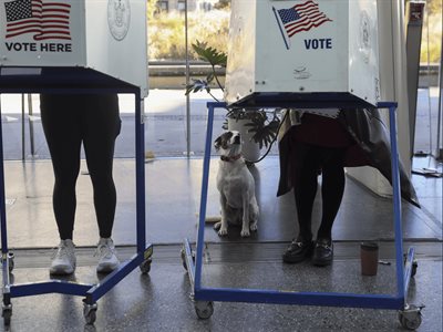 Elecciones clave para Trump en Nueva York, Virginia y Nueva Jersey