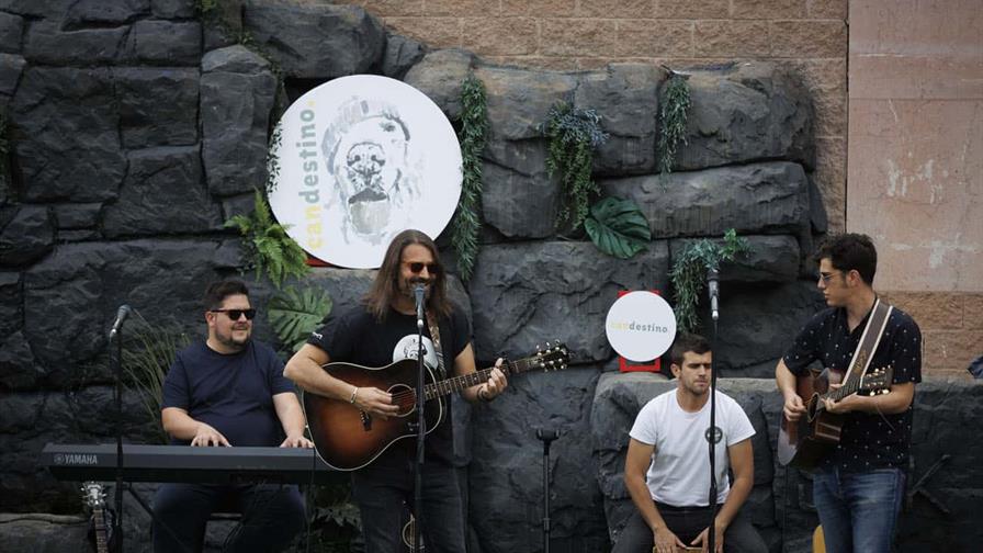 "Candestino": un concierto para humanos y perros que dejará huellas "Candestino": un concierto para humanos y perros que dejará huellas