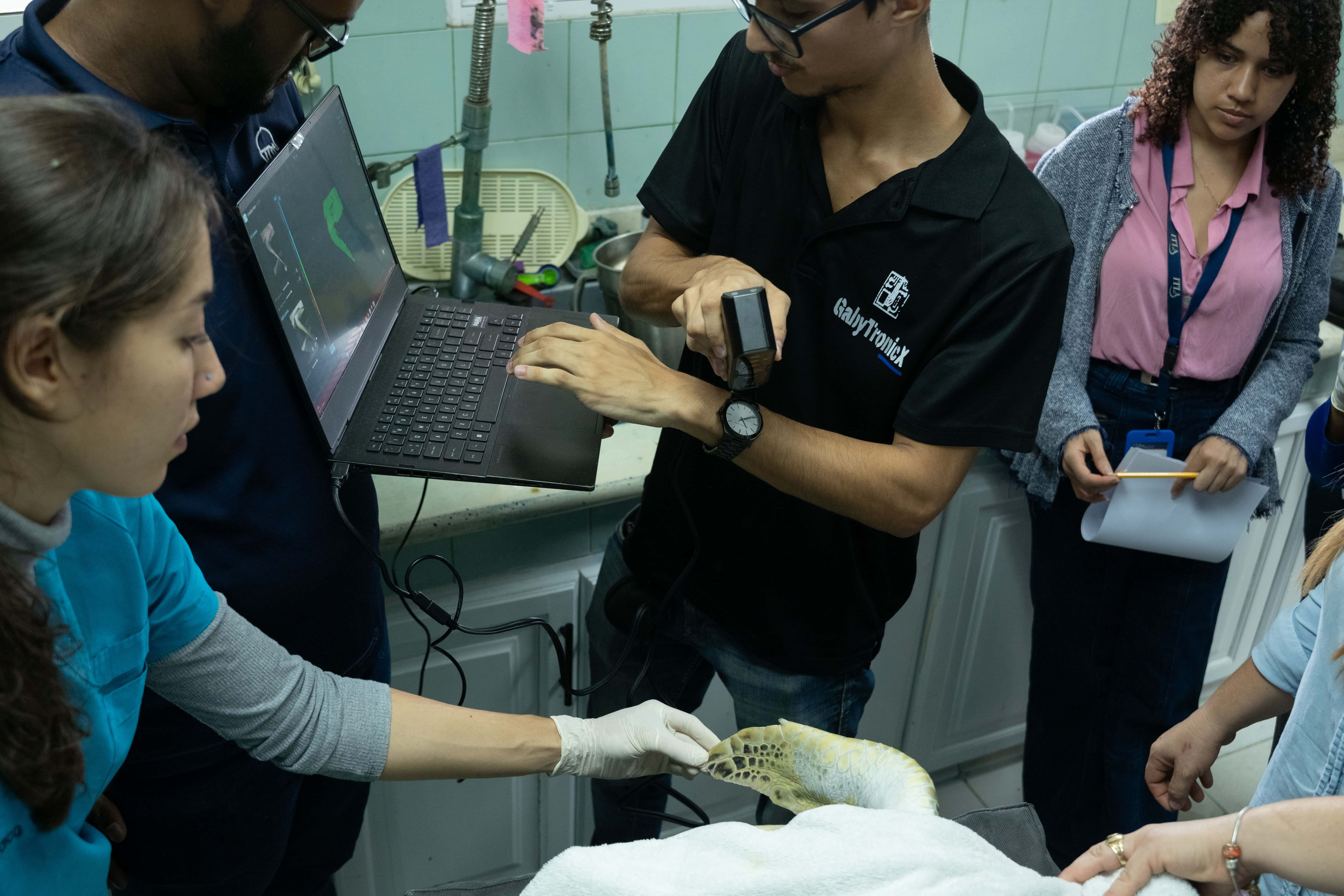Un equipo mixto del Acuario Nacional y del ITLA escanean el muñón de Mochita.