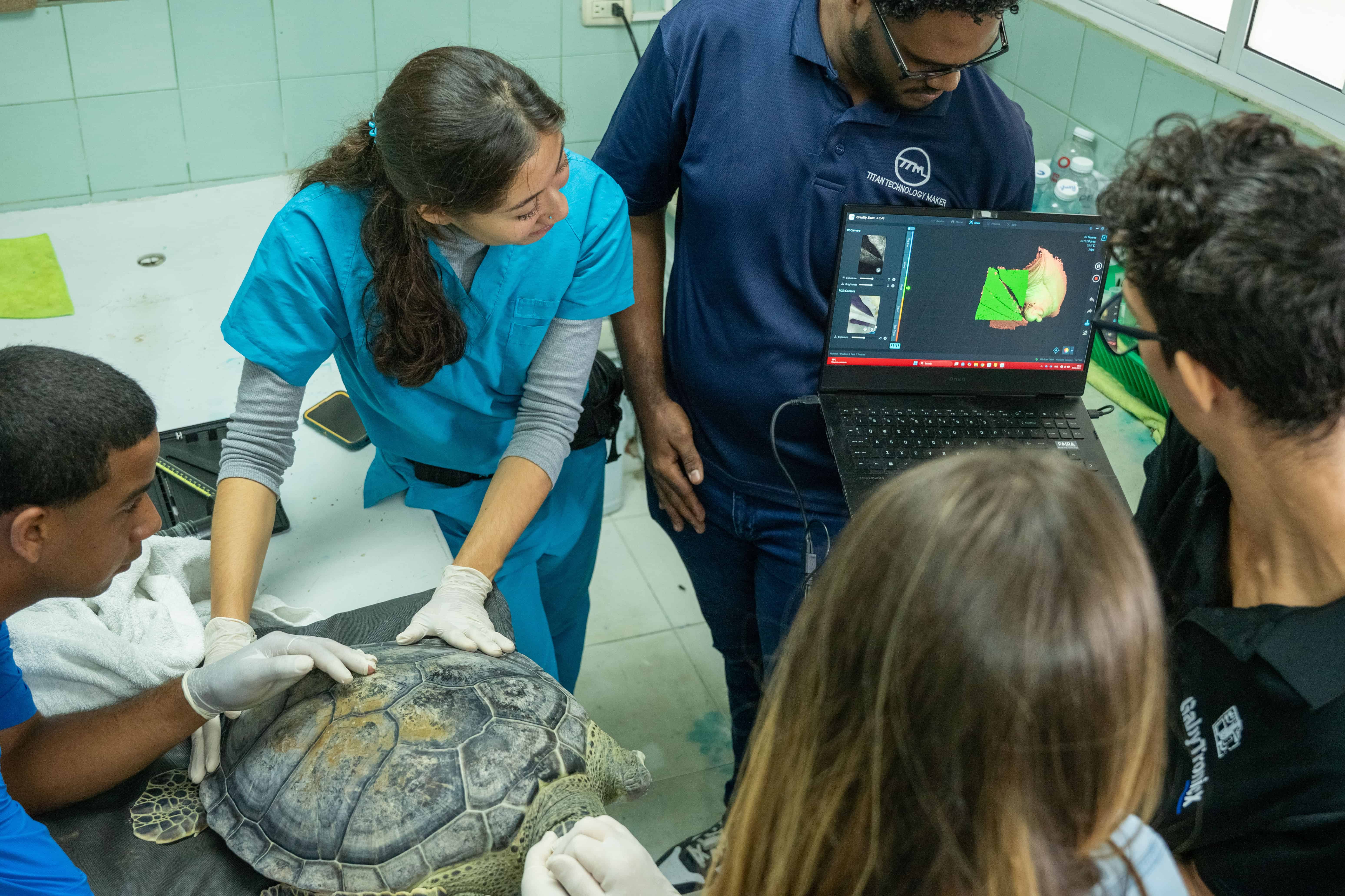 Un equipo mixto del Acuario Nacional y del ITLA escanean el muñón de Mochita.