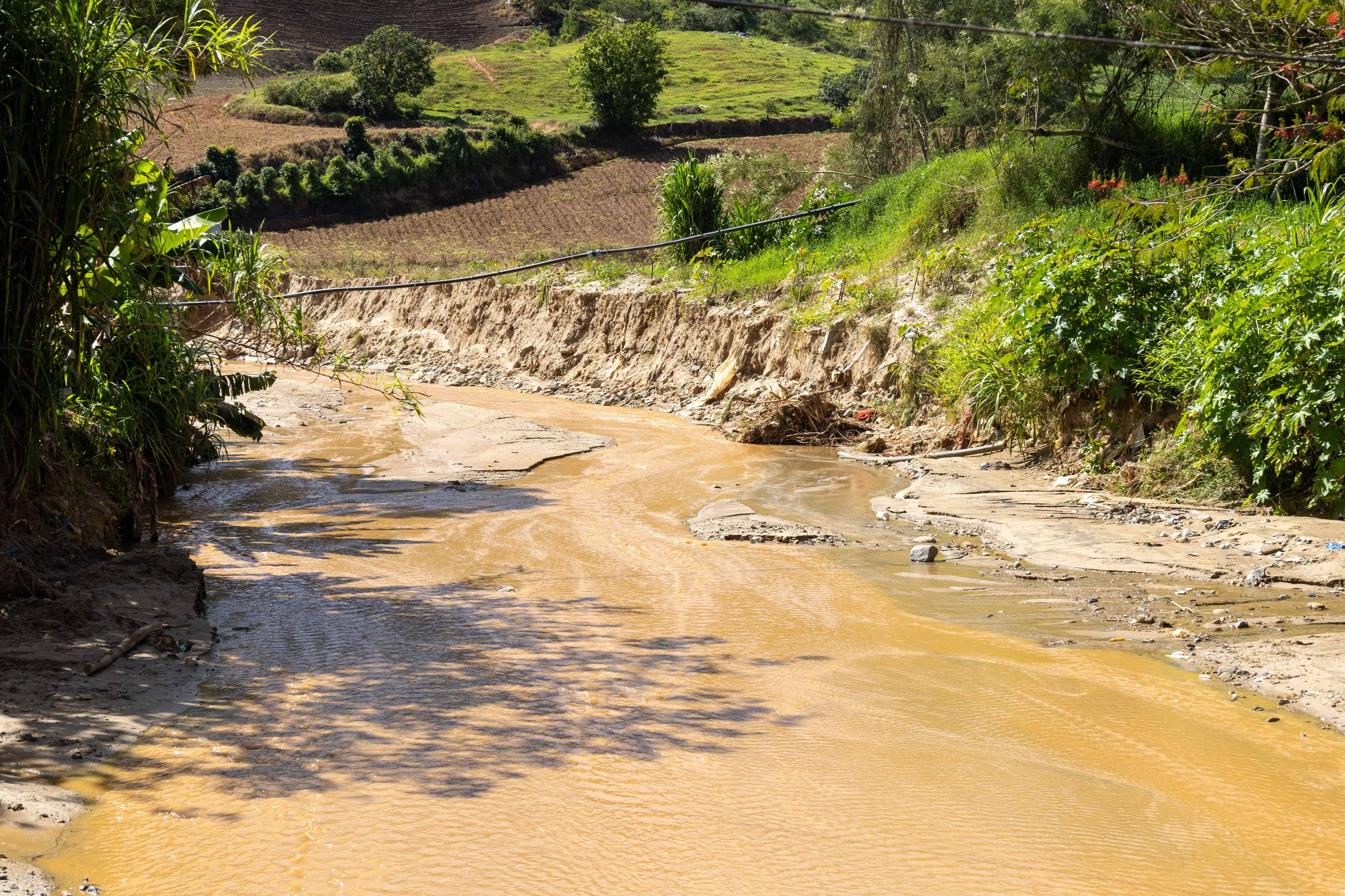 [object HTMLTextAreaElement]