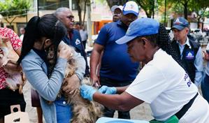 Realizarán jornada nacional de vacunación antirrábica para perros y gatos