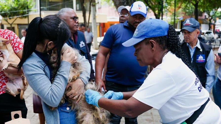Realizarán jornada nacional de vacunación antirrábica para perros y gatos Realizarán jornada nacional de vacunación antirrábica para perros y gatos