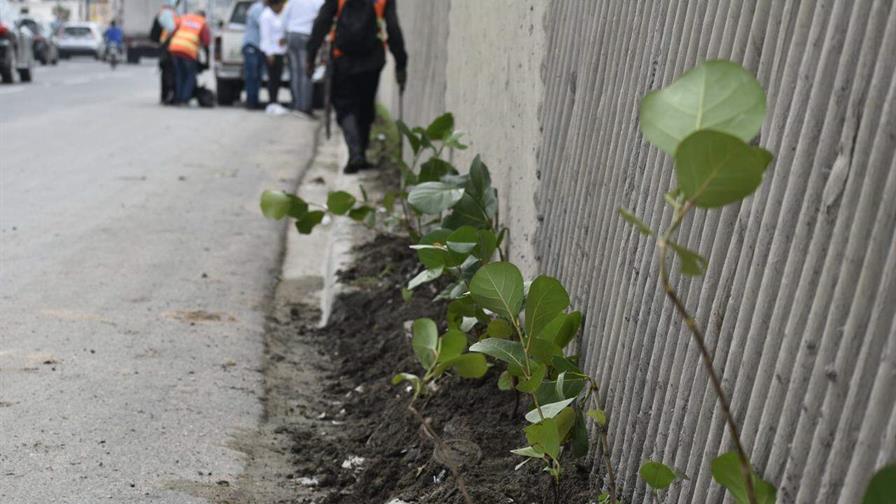 Realizan jornada de embellecimiento en la autopista Las Américas Realizan jornada de embellecimiento en la autopista Las Américas