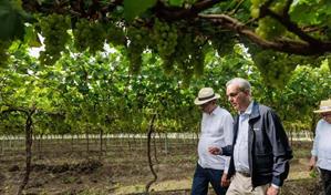 Uvas de San Juan: un modelo agrícola moderno de la Universidad UFHEC, destacado por Abinader