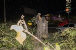 Tala de árboles en la avenida Luperón forma parte de obras viales autorizadas, según Medio Ambiente Tala de árboles en la avenida Luperón forma parte de obras viales autorizadas, según Medio Ambiente