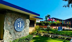 Cuando el amor por los perros se convierte en deporte: conoce la Federación Canina Dominicana