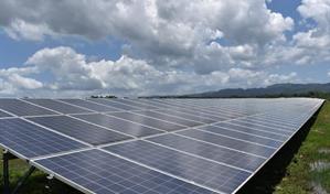 Melissa arrasó el mayor parque solar de Jamaica: InterEnergy promete reconstruirlo