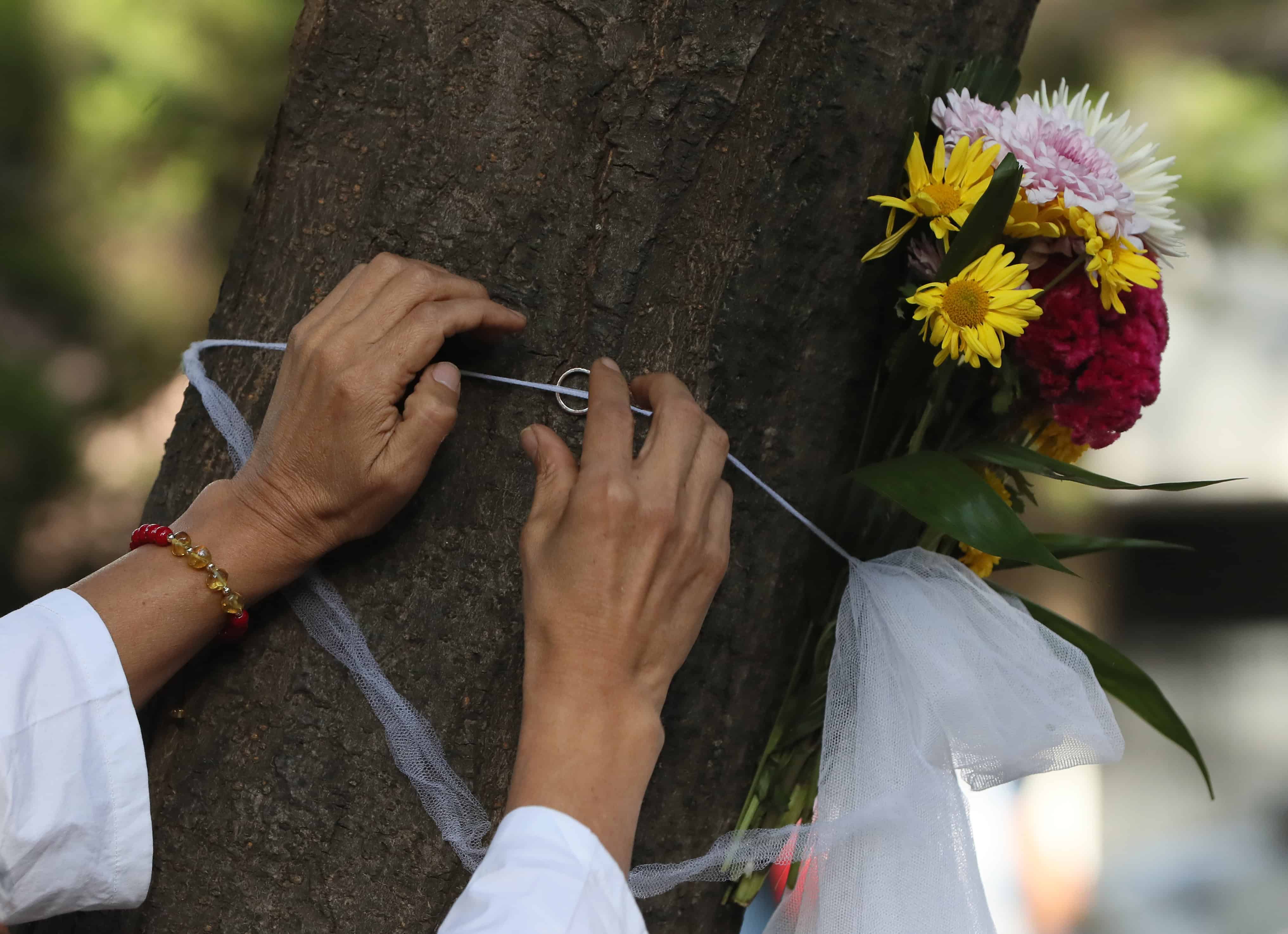Una mujer participa en una boda este domingo, en un parque en Ciudad de México (México). En el Parque México del barrio Condesa, en la capital del país, 11 personas de diversas partes del mundo celebraron una boda con un árbol sagrado para concienciar sobre la deforestación y la necesidad de cuidar el medioambiente. 