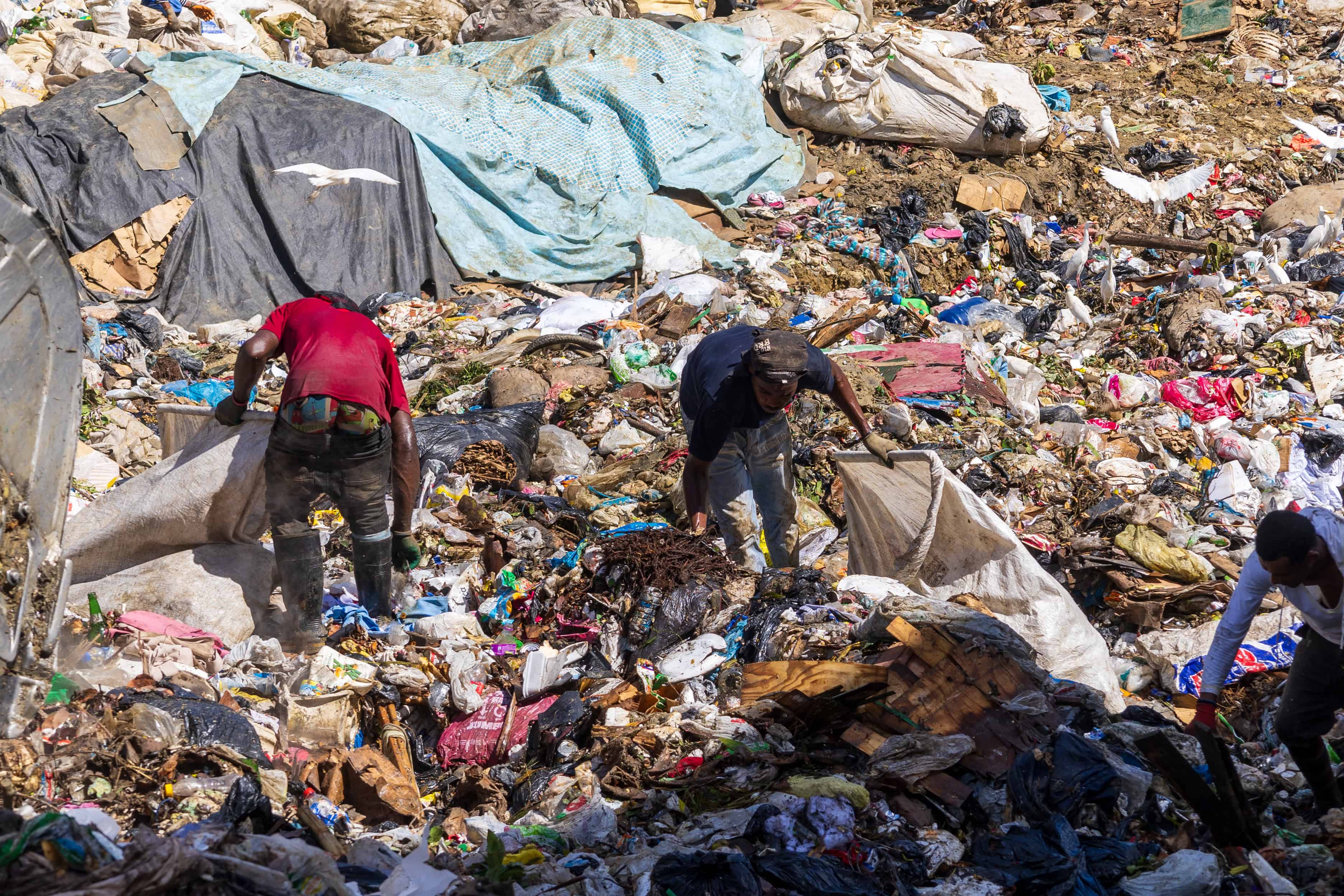 Decenas de buzos se dedican a buscar entre la basura.