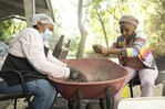 Banco de Semillas de Medio Ambiente: &iquest;Cu&aacute;l es su rol en la reforestaci&oacute;n?