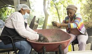 Banco de Semillas de Medio Ambiente: ¿Cuál es su rol en la reforestación?