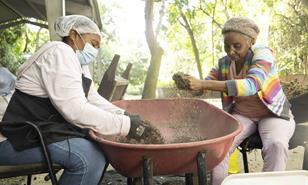 Banco de Semillas de Medio Ambiente: ¿Cuál es su rol en la reforestación?