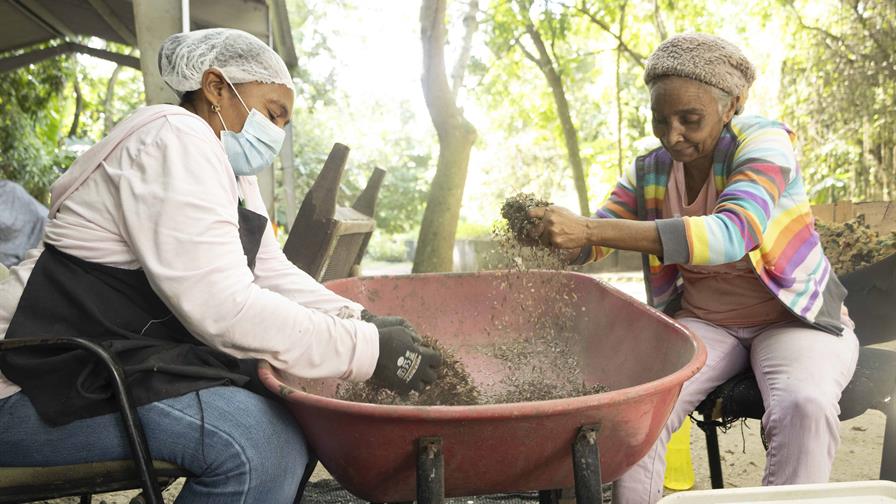 Banco de Semillas de Medio Ambiente: ¿Cuál es su rol en la reforestación? Banco de Semillas de Medio Ambiente: ¿Cuál es su rol en la reforestación?