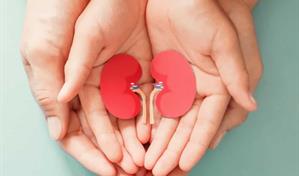 Donación de riñones en vida: cinco mitos que debes dejar atrás