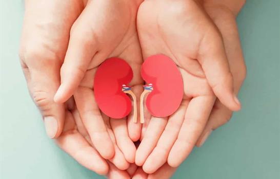 Donación de riñones en vida: cinco mitos que debes dejar atrás