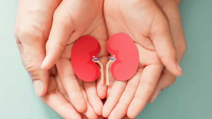 Donación de riñones en vida: cinco mitos que debes dejar atrás Donación de riñones en vida: cinco mitos que debes dejar atrás