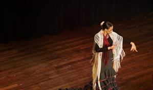 "Viva Flamenco": tributo al arte que se baila con el alma y emociona al corazón