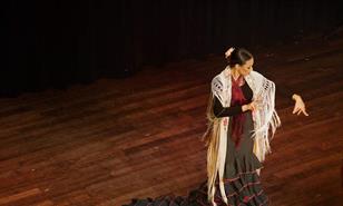 "Viva Flamenco": tributo al arte que se baila con el alma y emociona al corazón