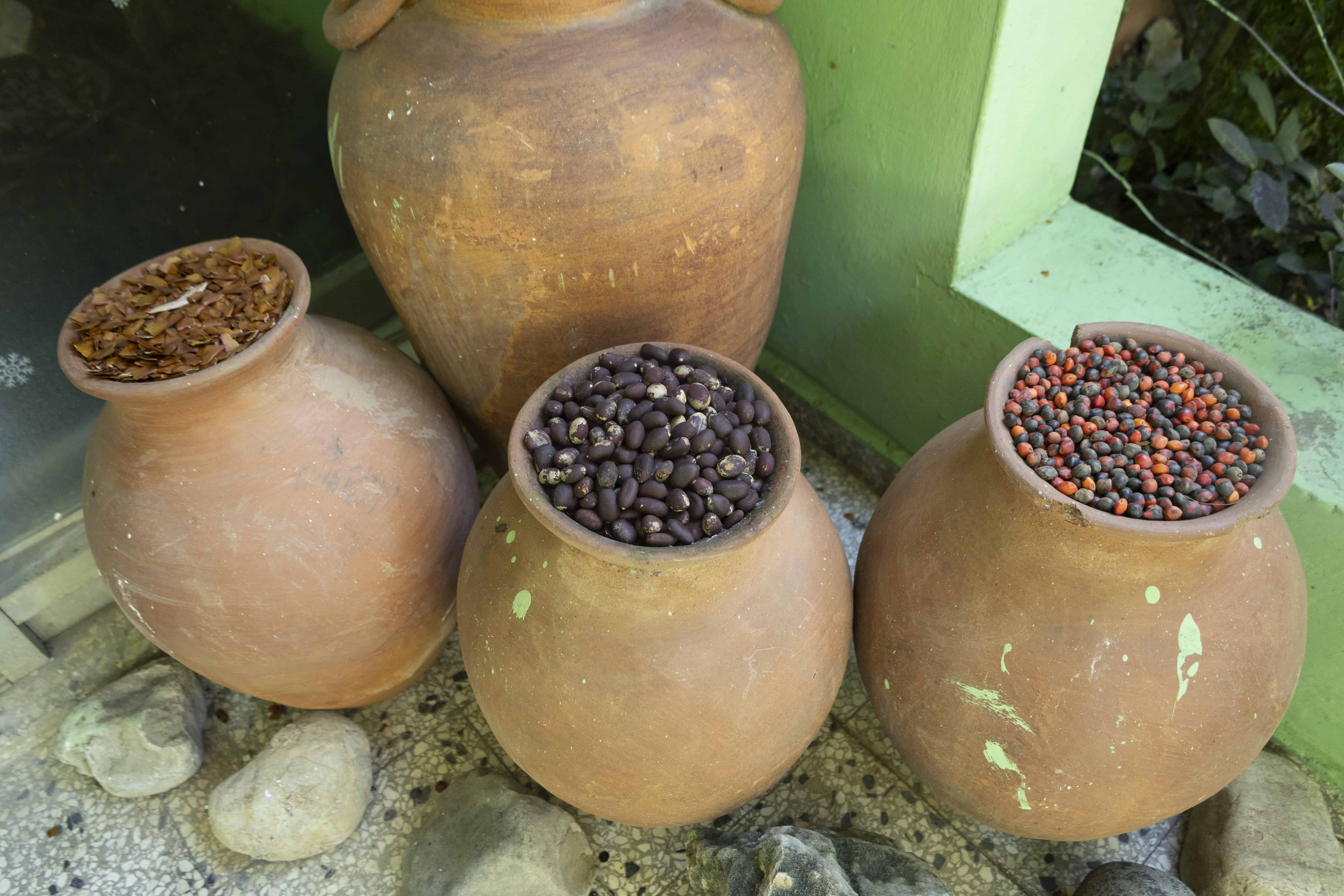 En el centro se trabaja con especies endémicas y nativas.