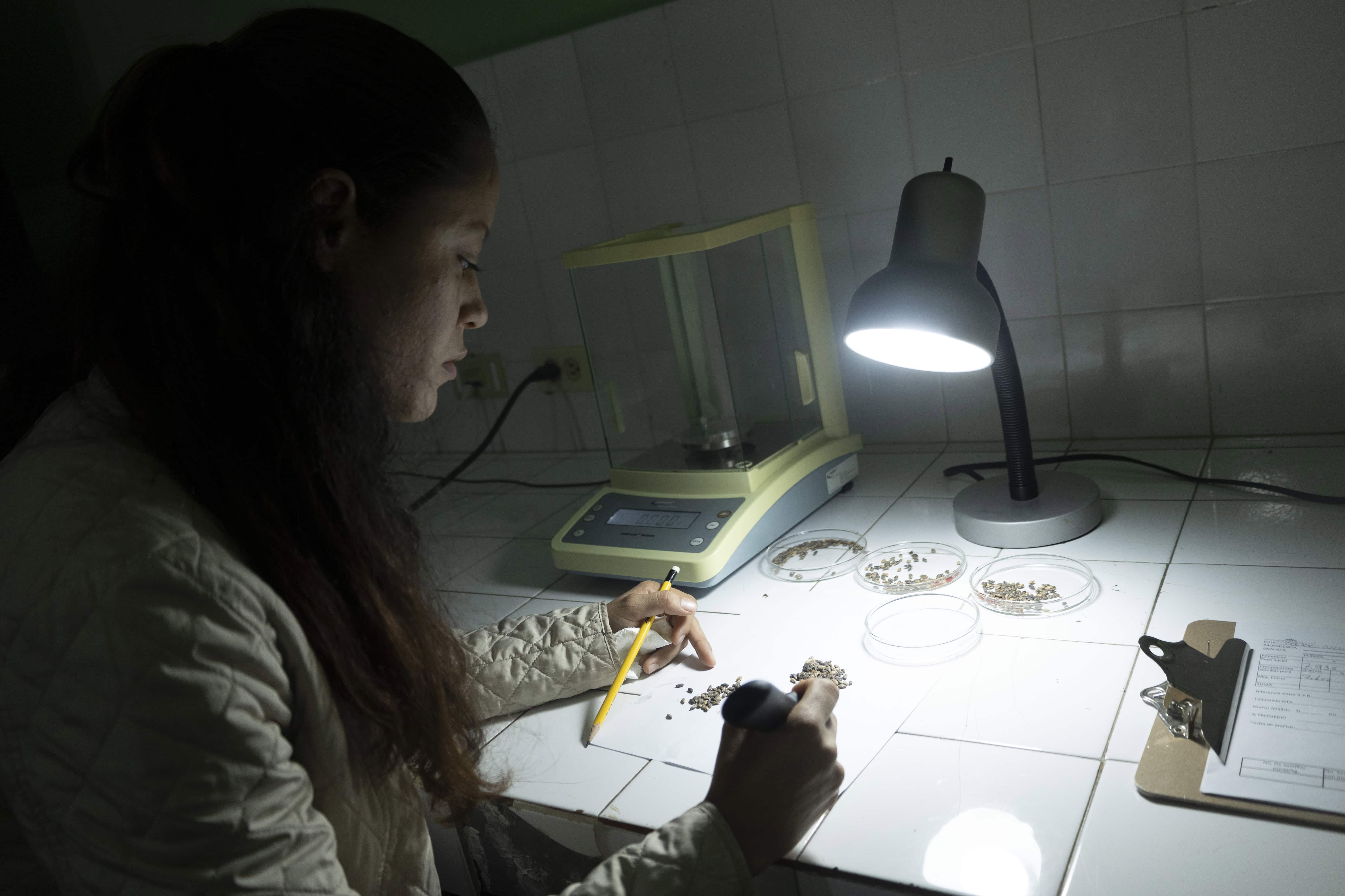 Una pasante en laboratorio del banco.