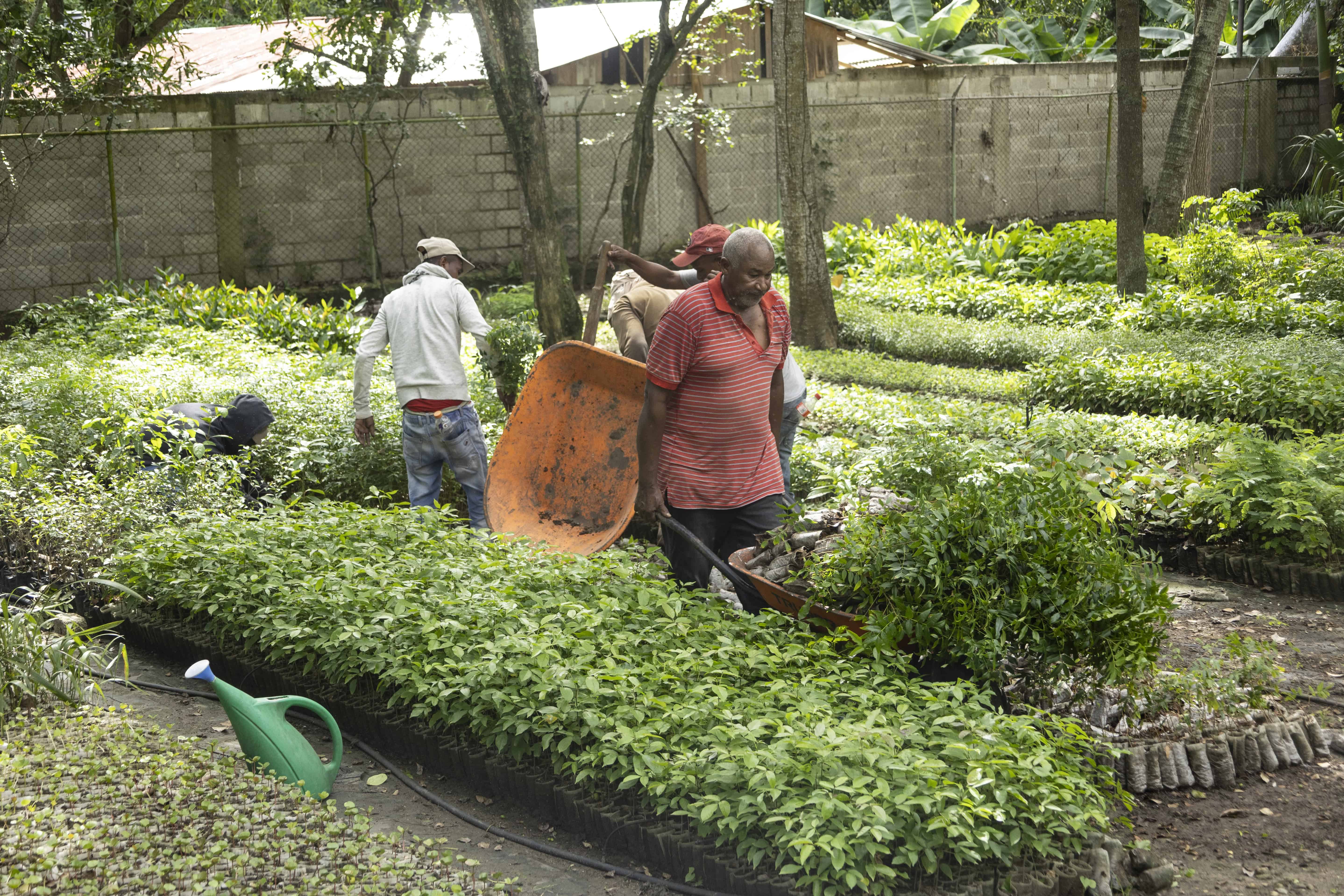 Parte del personal del Banco de Semillas.