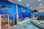Fotomar ilumina el Museo de Historia Natural con un nuevo mural marino Fotomar ilumina el Museo de Historia Natural con un nuevo mural marino