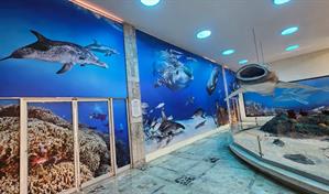 Fotomar ilumina el Museo de Historia Natural con un nuevo mural marino