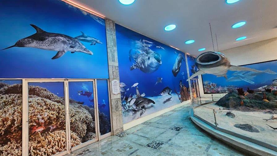 Fotomar ilumina el Museo de Historia Natural con un nuevo mural marino
