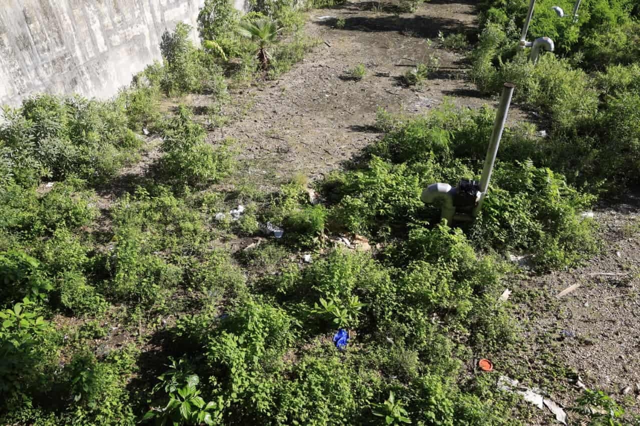 Basura dispersa en las áreas verdes del Parque Ambiental José Núñez de Cáceres.