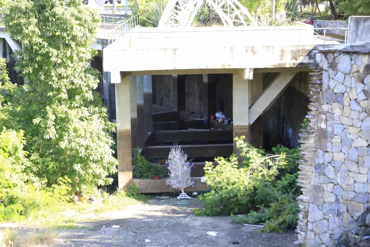 Basura esparcida y un arbolito en el Parque Ambiental José Núñez de Cáceres.