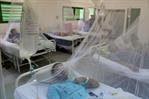 La epidemia de dengue y chikunguña se suma a las múltiples crisis que sufre Cuba