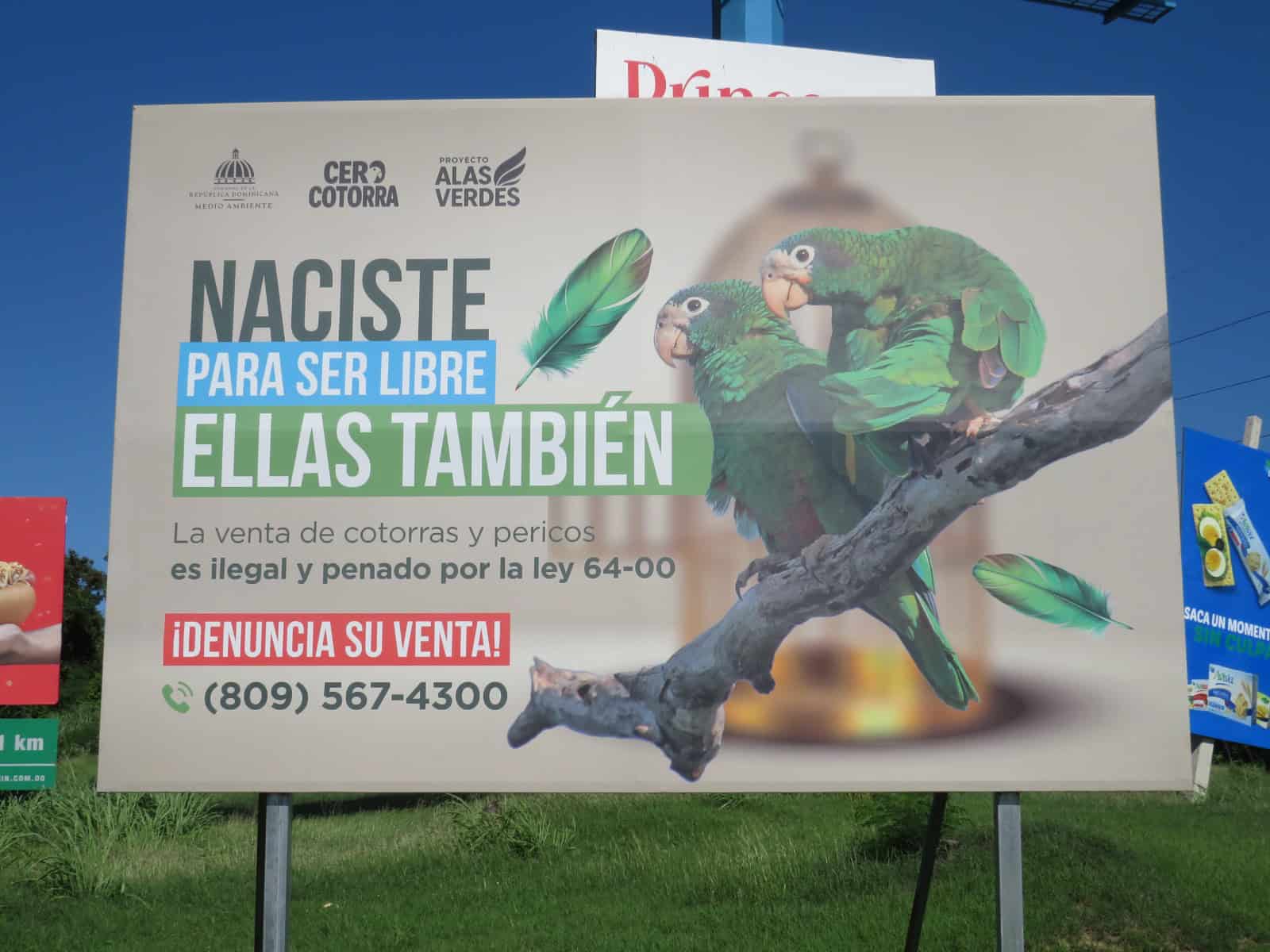 [object HTMLTextAreaElement]