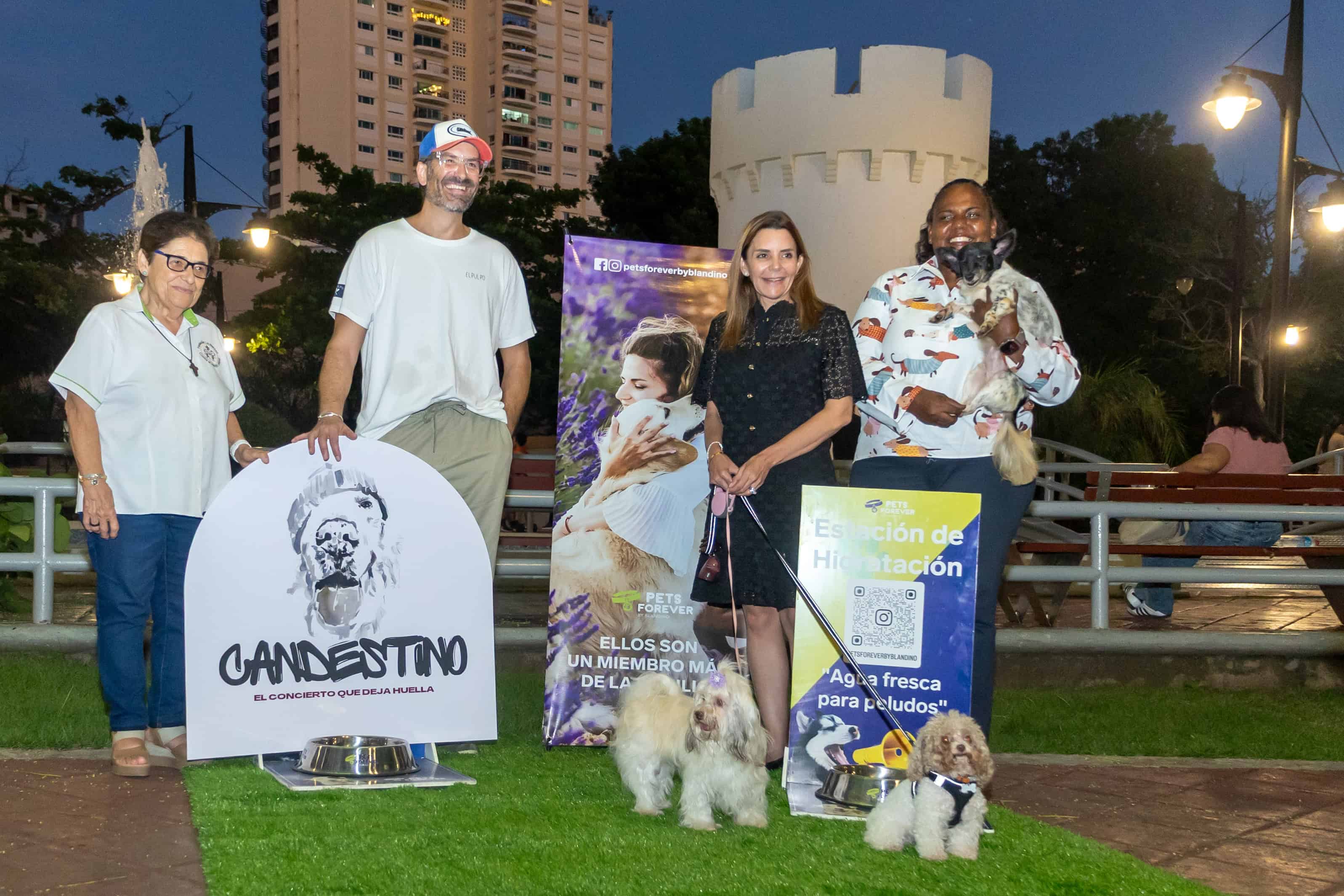 [object HTMLTextAreaElement]