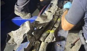 Puerto Rico incauta 530 kilos de cocaína en un buque procedente de Santo Domingo