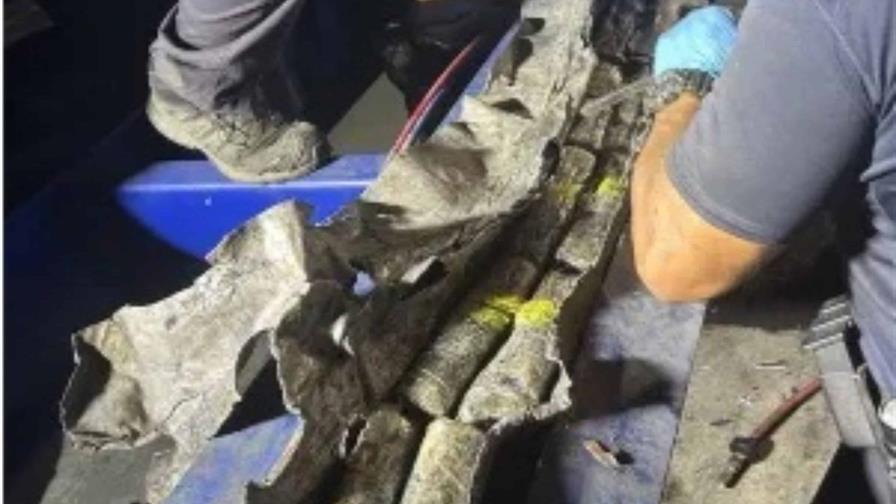 Puerto Rico incauta 530 kilos de cocaína en un buque procedente de Santo Domingo Puerto Rico incauta 530 kilos de cocaína en un buque procedente de Santo Domingo