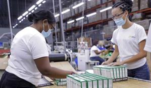 El sector industrial dominicano finaliza el 2025 con un desempe&ntilde;o negativo