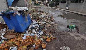 Más de 47,000 personas están actualmente ingresadas en Cuba por dengue o chikungunya