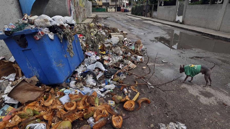 Más de 47,000 personas están actualmente ingresadas en Cuba por dengue o chikungunya