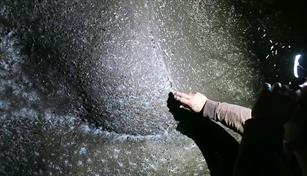 Descubren una telaraña gigante con 111,000 arañas en una gruta de Grecia