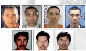 Fragmentación y más violencia: el efecto de la captura de líderes criminales en Ecuador